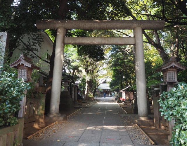 東武東上線ときわ台駅にある「ときわ台天祖神社」とは？南常盤のパワースポットの魅力