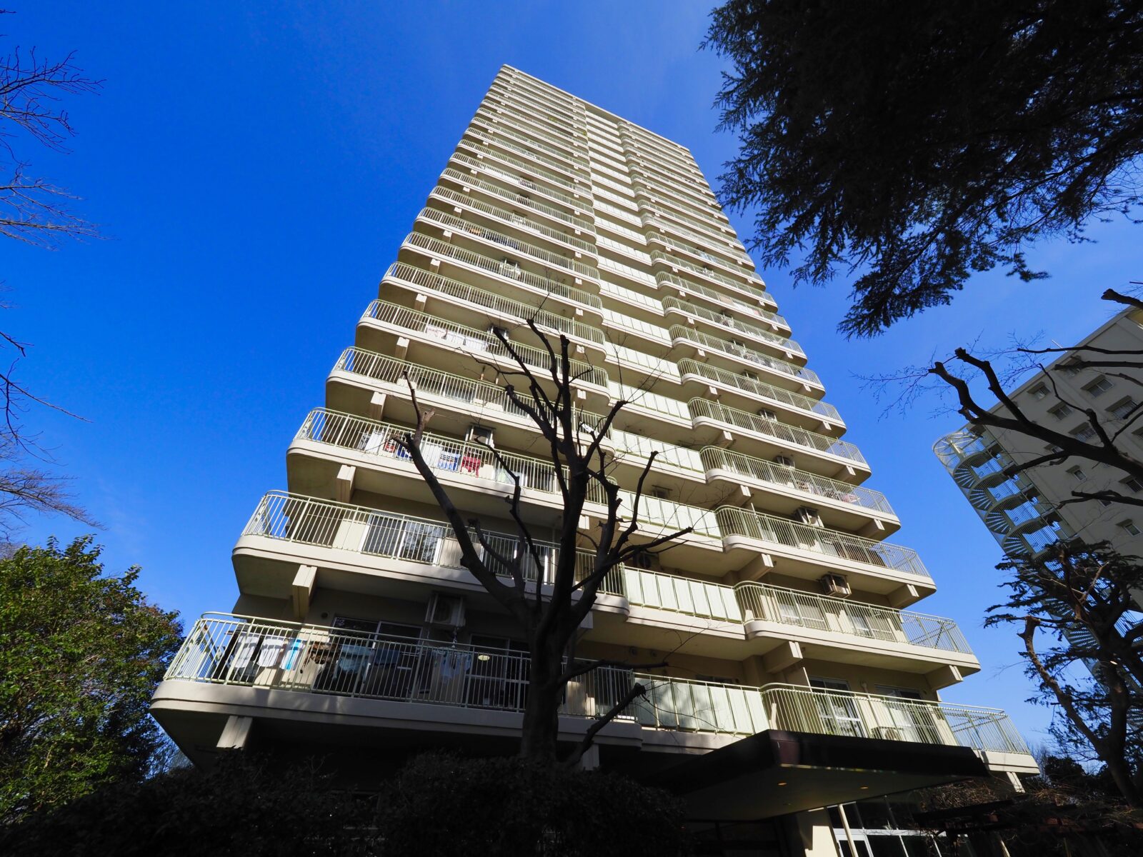 サンシティD棟｜板橋区中台・志村三丁目駅の中古マンション