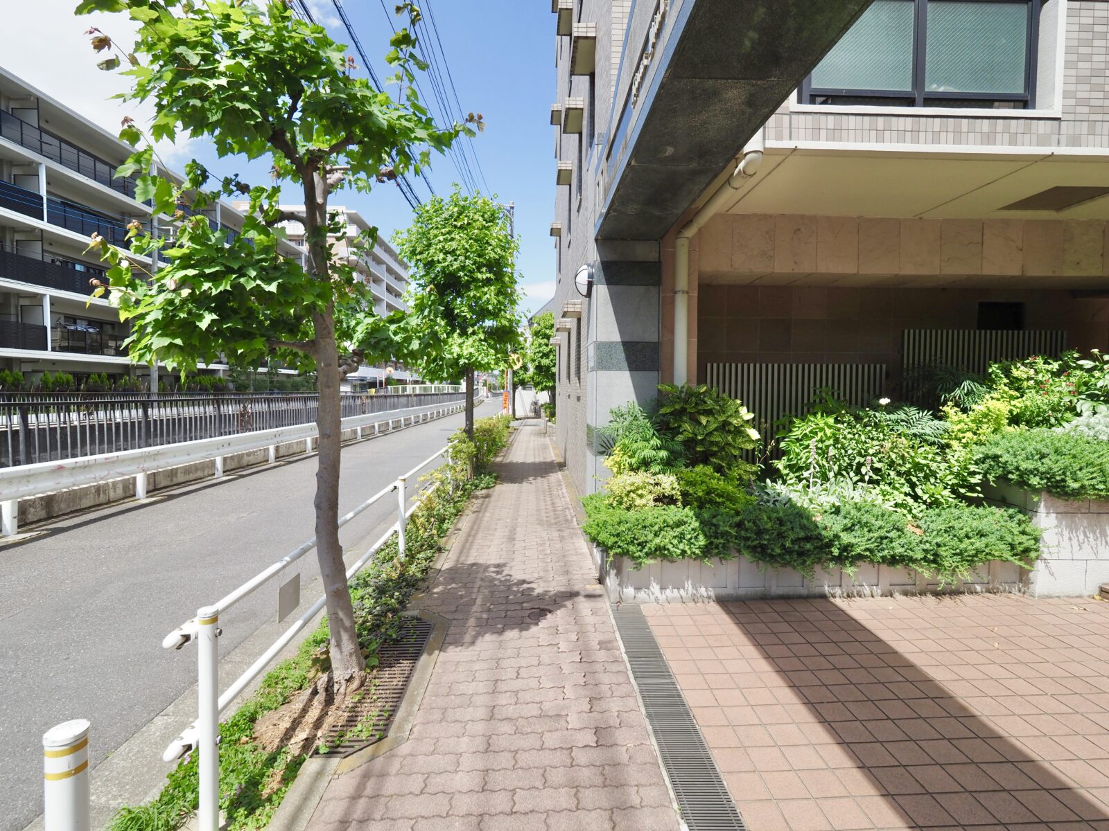 ライオンズヴィアーレ成増 外観・共用部