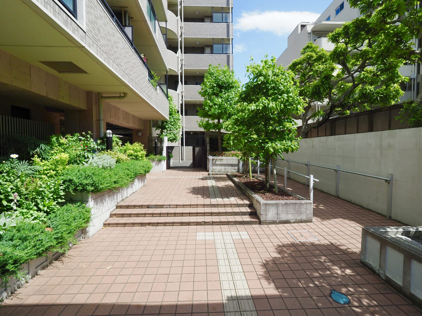 ライオンズヴィアーレ成増 外観・共用部