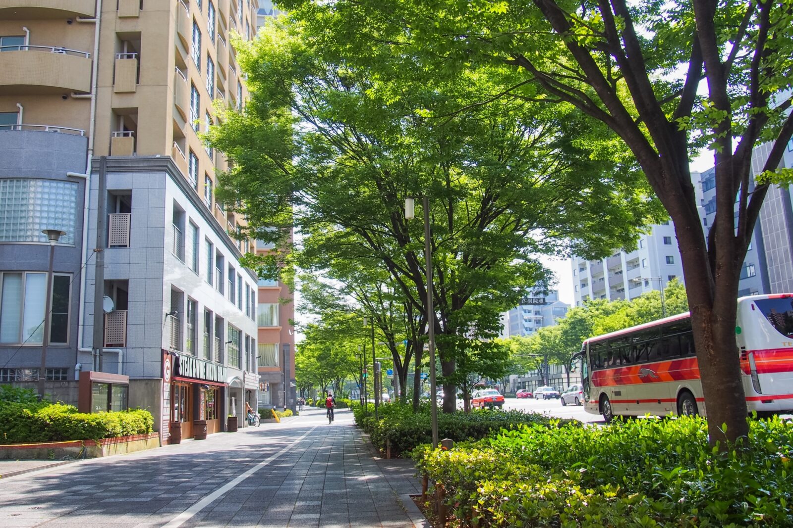 成増の中古マンション完全ガイド｜街の住みやすさ・相場・学区から探す｜結エステート