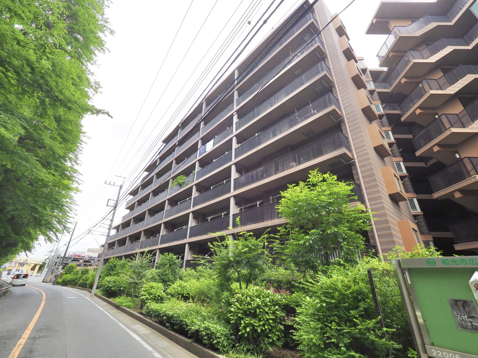 アデニウム和光 11