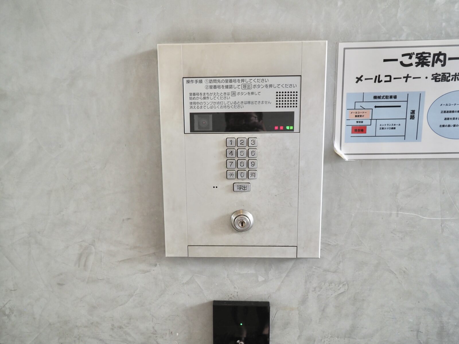アデニウム和光 4