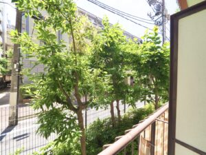 クオリティ大山104号室
