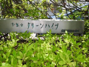 常盤台グリーンハイツ 共用部