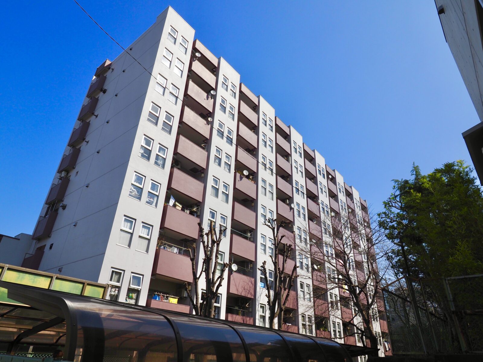 サンハイム徳丸｜板橋区徳丸・東武練馬駅の中古マンション
